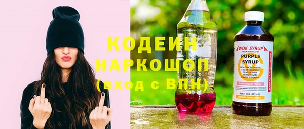 хмурый Дмитров